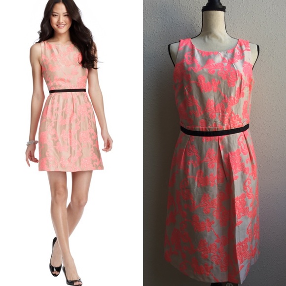 ann taylor loft pink dress
