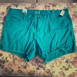 NWT Old Navy Teal Shorts Size 16