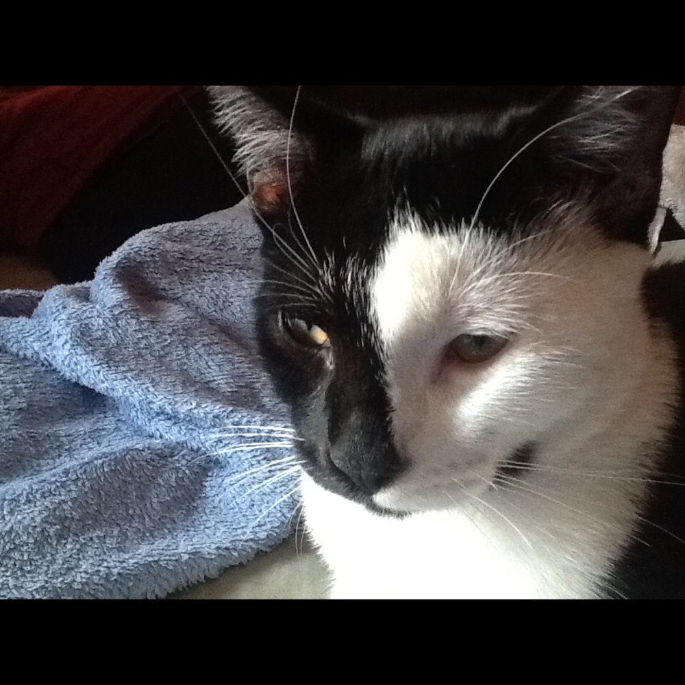 Meet your Posher, V.