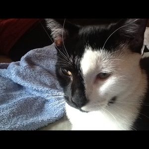 Meet your Posher, V.