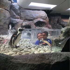 Meet your Posher, Gizaw