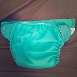 Bum genius cloth diaper wrap with inserts.