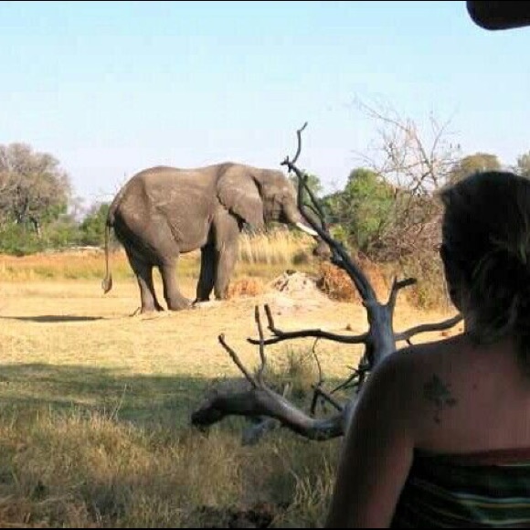 Meet the Posher - Picture 2 of 6