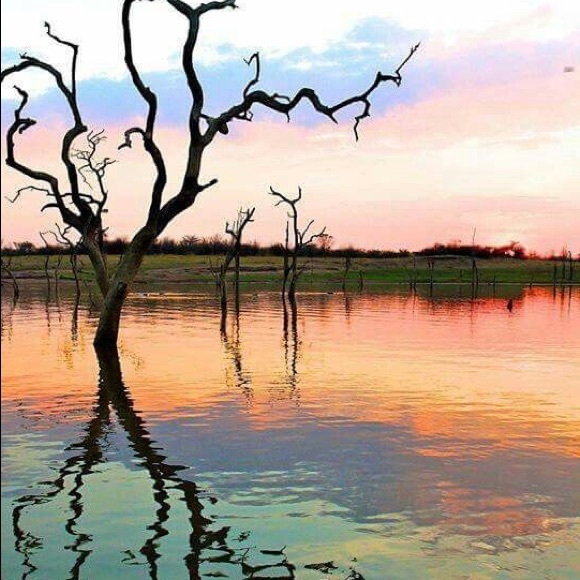 Meet the Posher - Picture 4 of 6