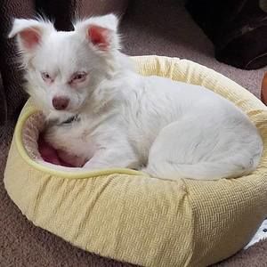 Meet your Posher, Tanya