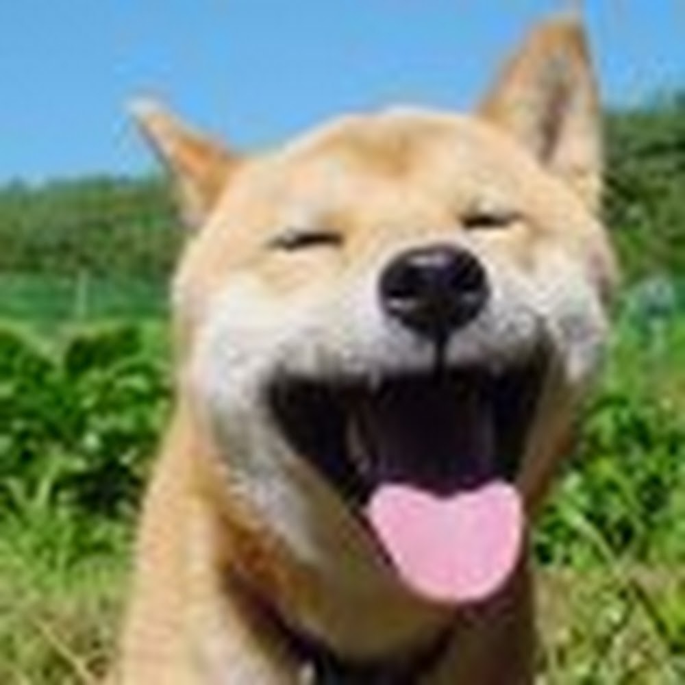 Meet your Posher, Miho