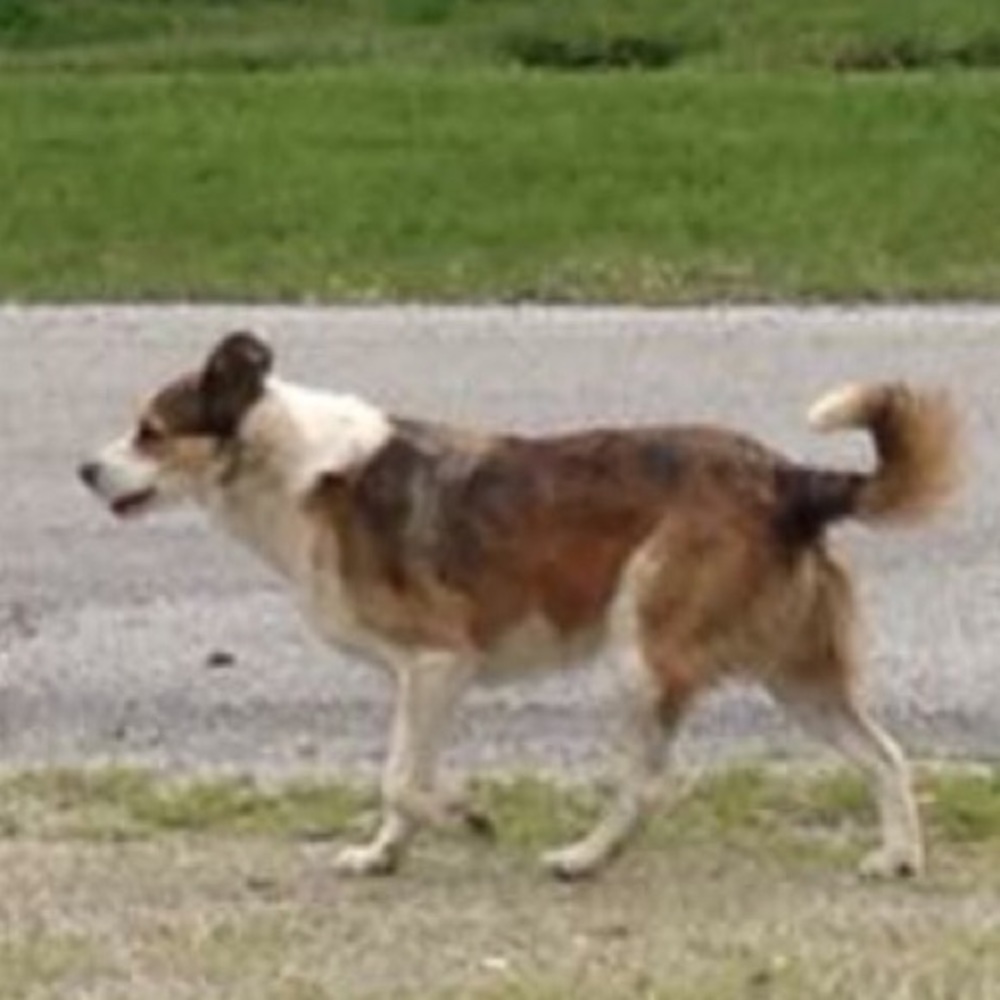 Meet your Posher, Mac