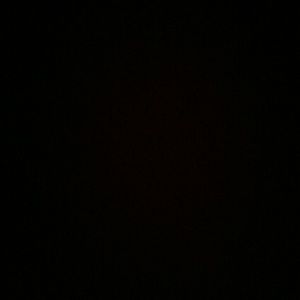 Meet your Posher, Frances