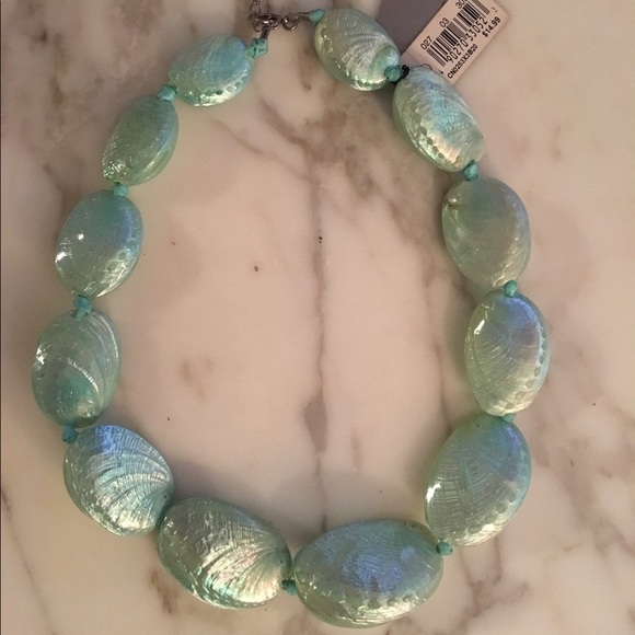 Jewelry - SALE! Beautiful shell necklace never been worn!🐚