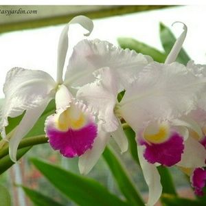 Meet your Posher, Marta