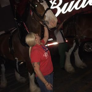 Meet your Posher, Amy