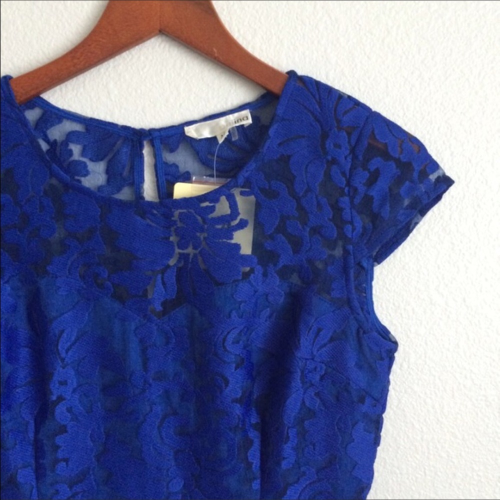 NWT Cobalt Blue Dress