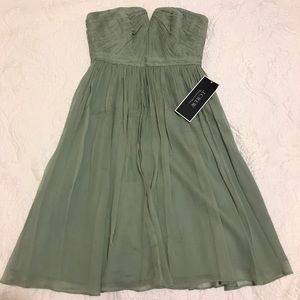 JCrew Fit and Flare Silk Chiffon Dress