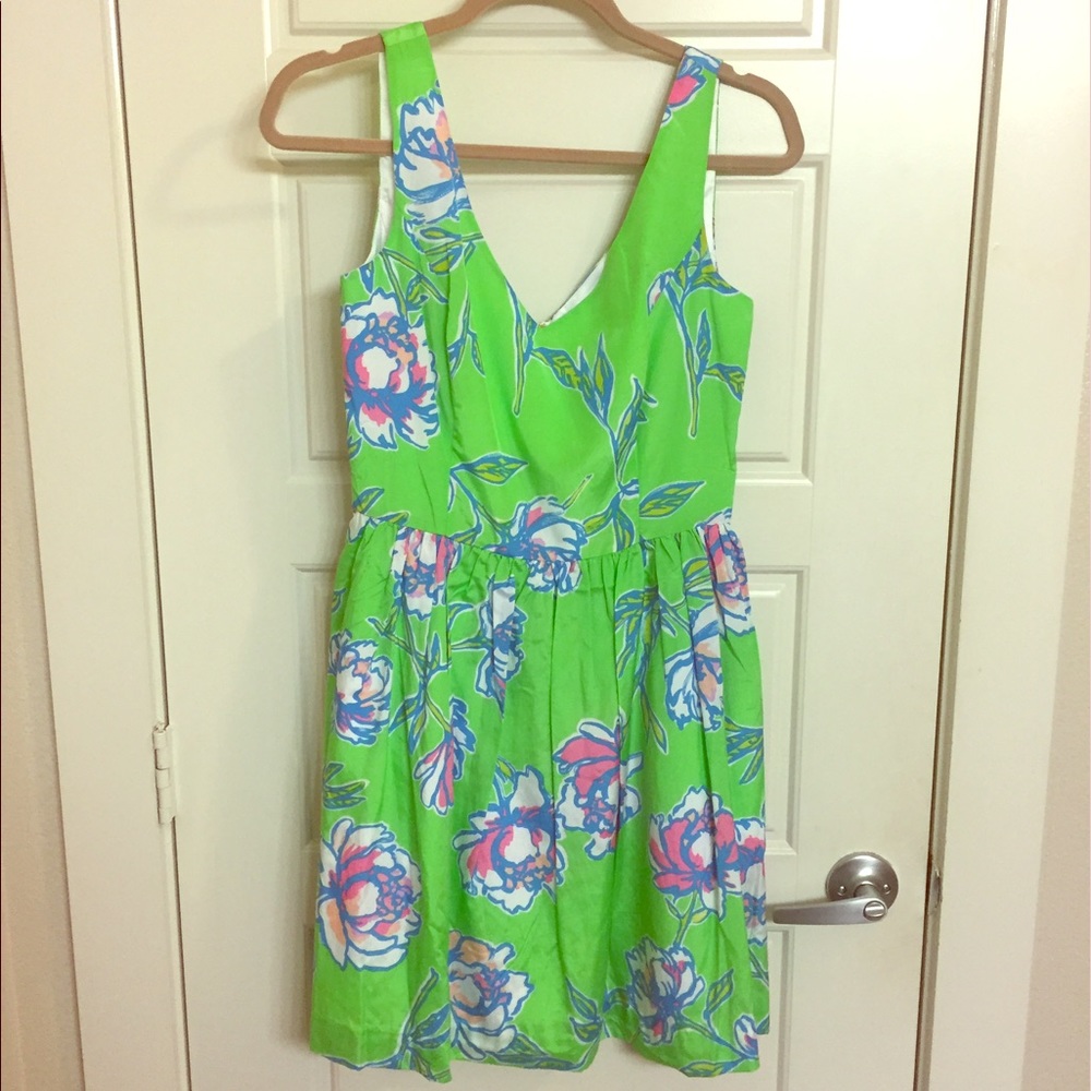 NWT Lilly Pulitzer Roswell Dress