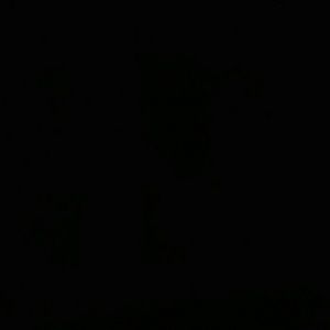 Meet your Posher, Akema