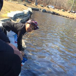 Meet your Posher, Jay