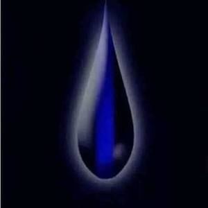 Meet your Posher, Shana