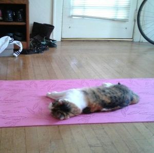 Meet your Posher, Yen