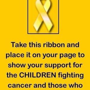 Meet your Posher, Kim walter