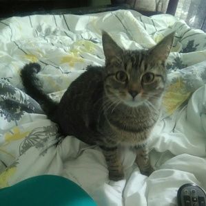 Meet your Posher, Kaia