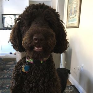 Meet your Posher, Judith