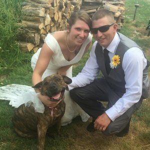 Meet your Posher, Ashlee