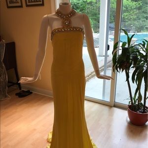 Roberto Cavalli Canary Silk embellished gown