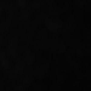 Meet your Posher, Mia