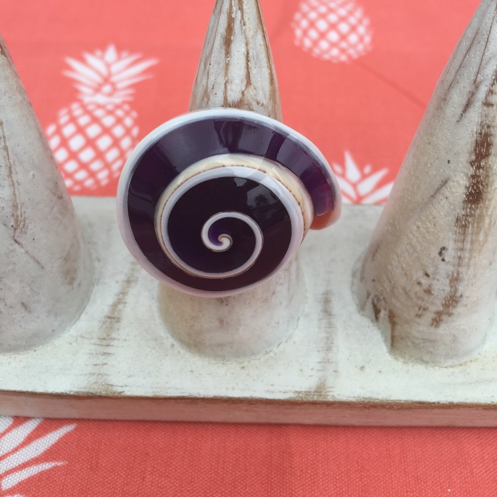 Shell ring w resin