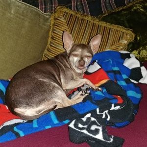 Meet your Posher, Tabatha