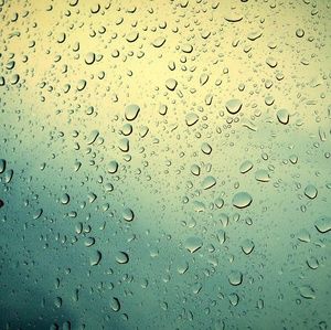 Meet your Posher, Andy