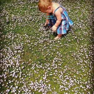 Meet your Posher, Annalee