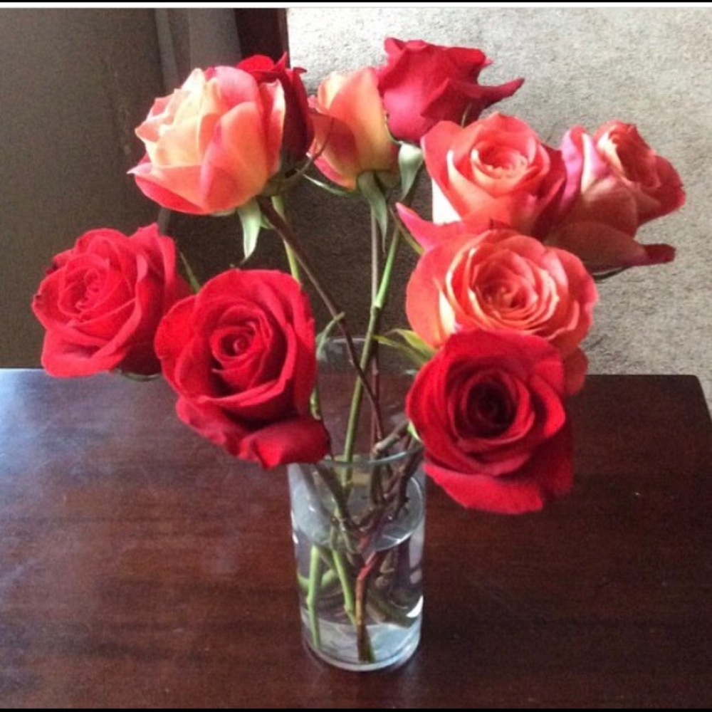 Meet your Posher, Trina