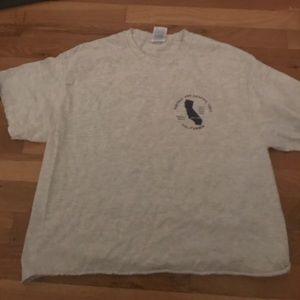 Brandy Melville Cropped tee