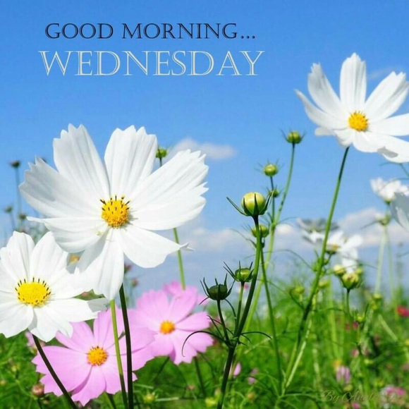 Meet your Posher, Stephen - Picture 1 of 1