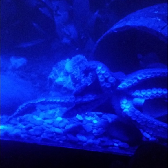 Meet your Posher, Rhonda - Picture 1 of 1