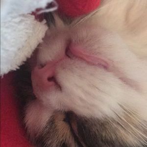 Meet your Posher, Ashleigh