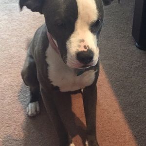 Meet your Posher, Lynne