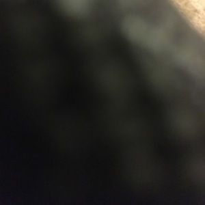 Meet your Posher, Yasmine