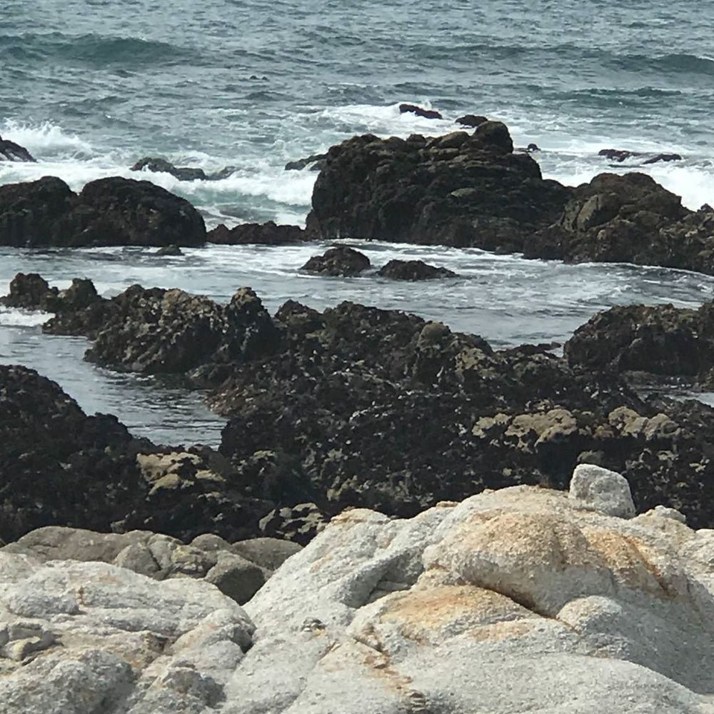 Meet your Posher, Angela