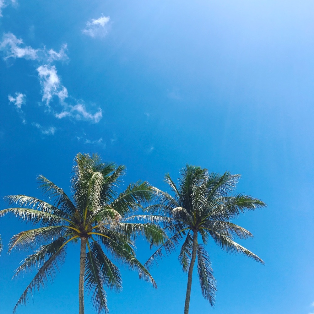 Meet your Posher, Bridgette