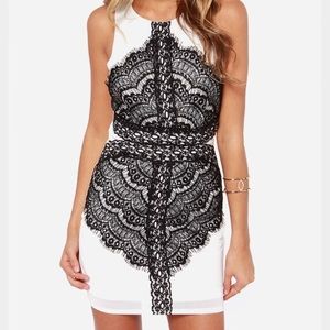 Lulus cocktail dress. Open back, fitted.