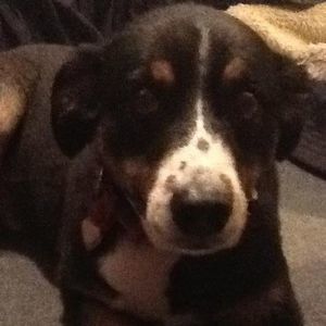 Meet your Posher, Gail