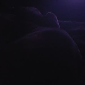 Meet your Posher, Annette