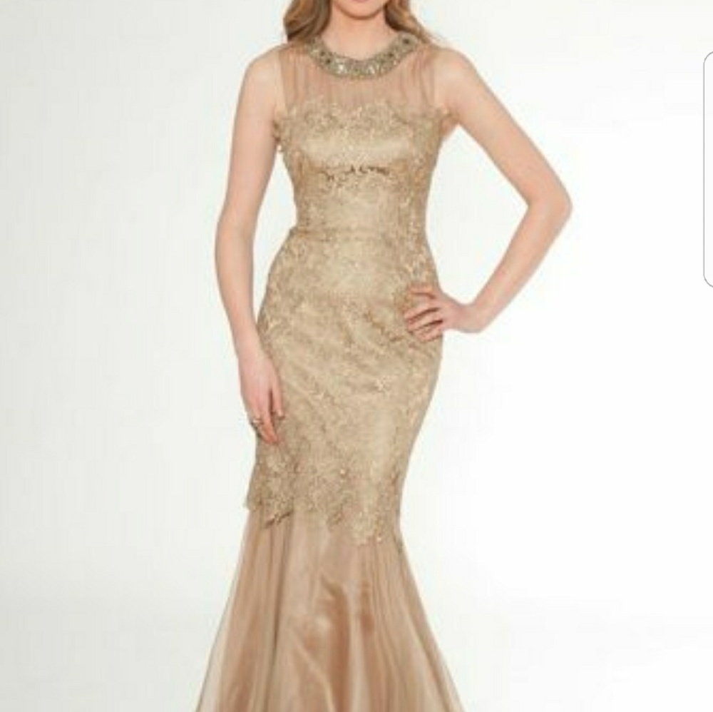 Gorgeous evening gown by Teri jon