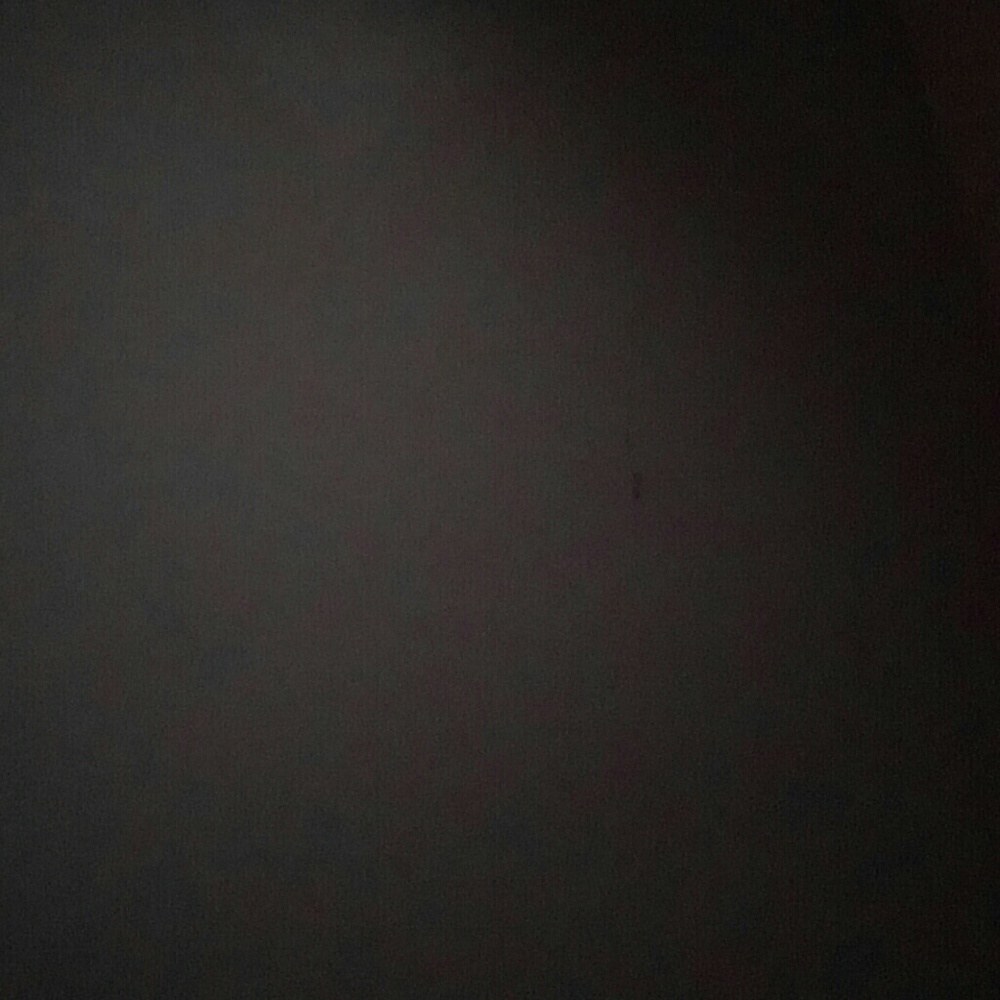 Meet your Posher, Nika