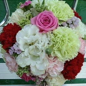 Meet your Posher, Kaylee