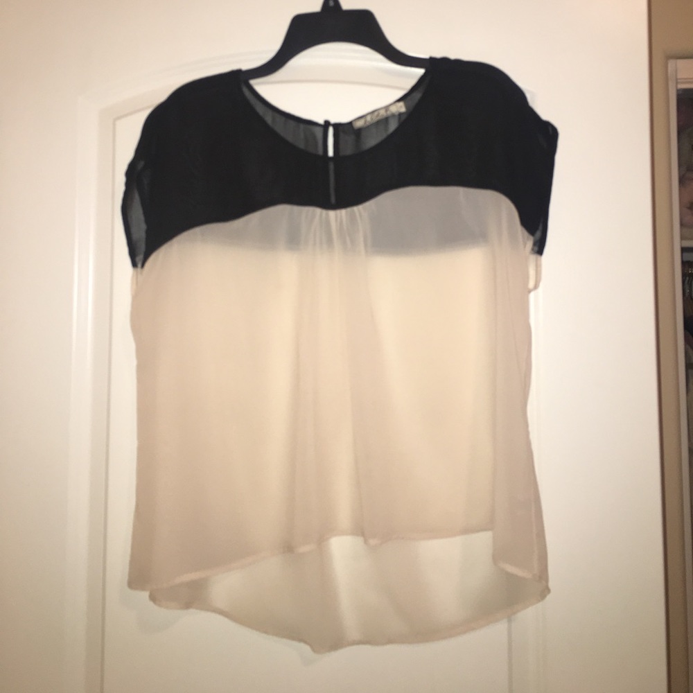 Black and cream sheer blouse