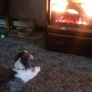 Meet your Posher, Deb