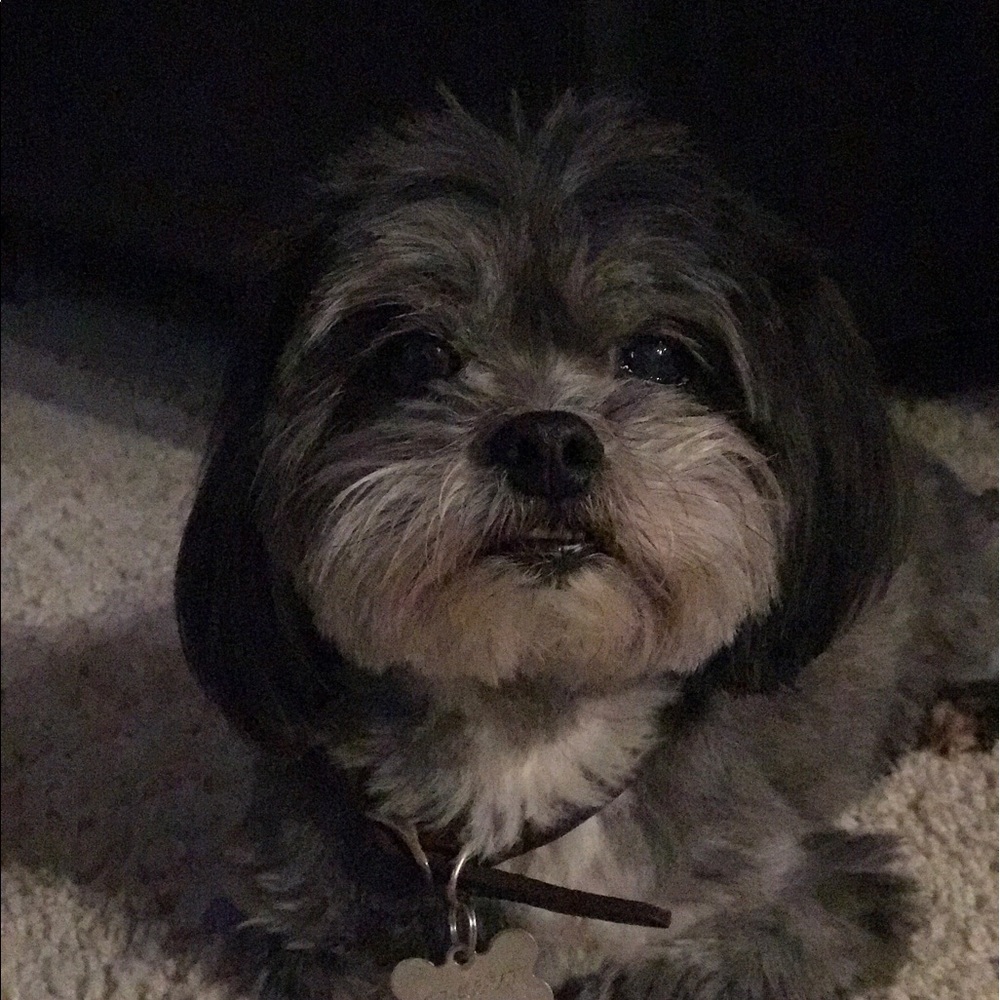 Meet your Posher, Addison